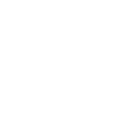 Made with certified organic Aloe Vera