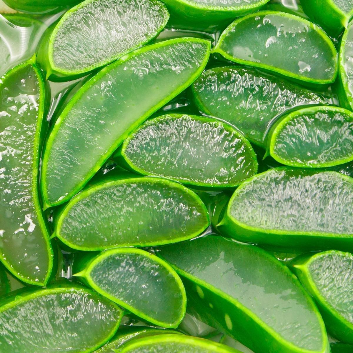 Cut aloe vera
